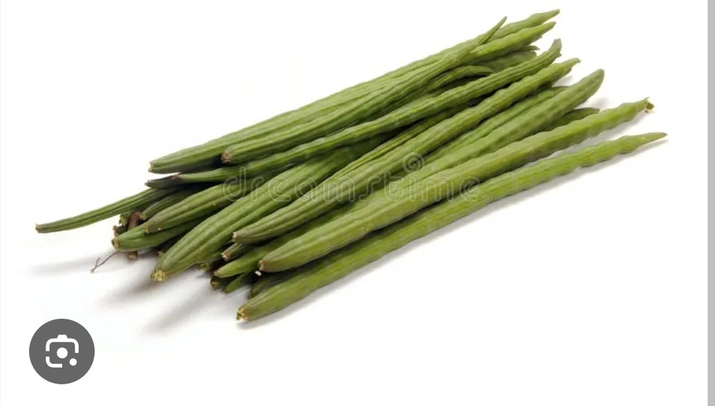 Moringa(Drum Stick) 