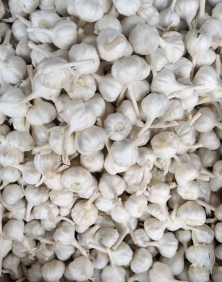 Garlic – பூண்டு (Poondu) 1kg(small)