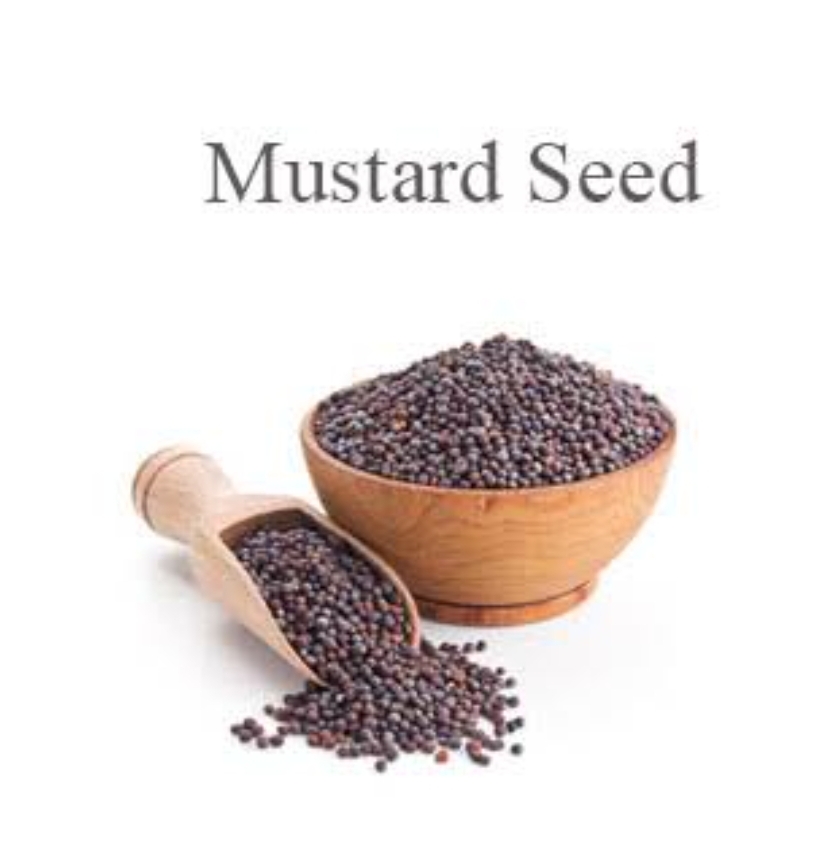 Mustard Seeds – கடுகு (Kadugu)