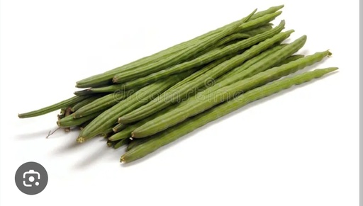 Moringa(Drum Stick) 